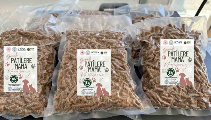 Kızılcahamam’da yemek atıkları kedi ve köpek mamasına dönüşüyor