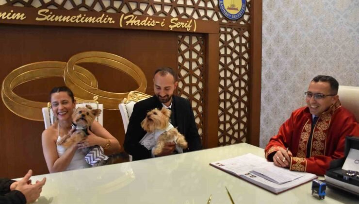 Köpekleriyle birlikte mutluluğa “evet” dediler
