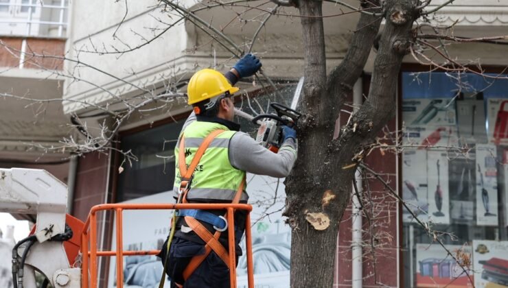 Küçükçekmece’de budanan ağaçlar, ihtiyaç sahiplerine yakacak oluyor