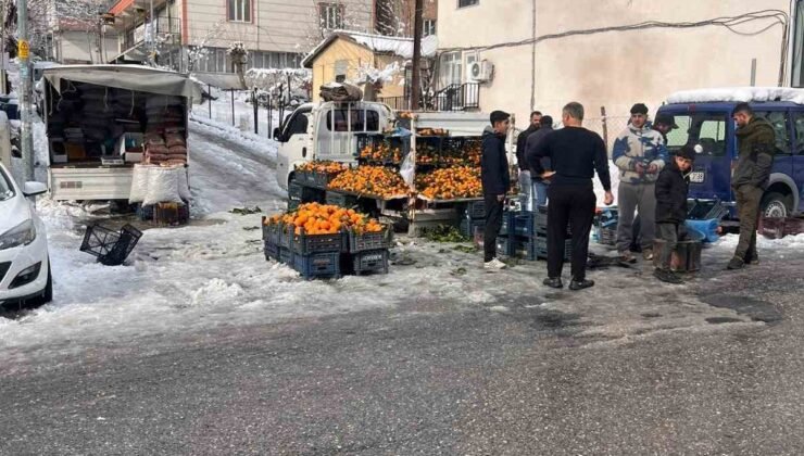 Kulp’ta kar esareti: Pazar esnafının büyük çoğunluğu tezgah açamadı