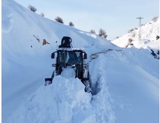Kulp’ta kar yağışı görsel şölen oluşturdu