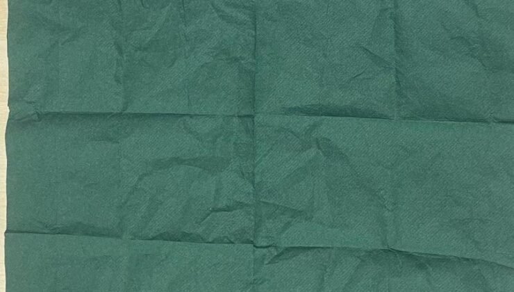 Manisa’da aranan şüpheliden 2 bin 500 içimlik uç bonzai çıktı