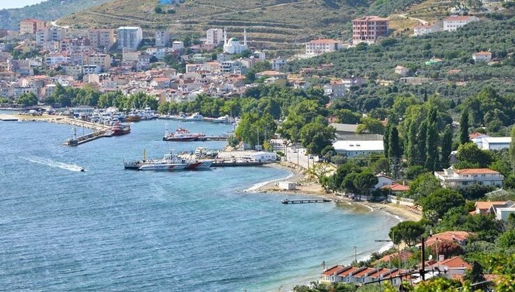 Marmara’da şap hastalığı alarmı