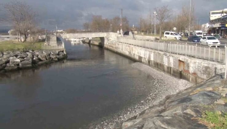 Menekşe sahilinde sular çekildi, tekneler geçişlerde zorluk yaşadı