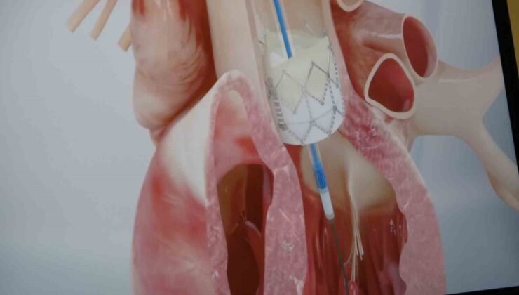 Prof. Dr. Pekdemir: “Gençlerde ani ölümlerin yüzde 90’ı genetik nedenlerden kaynaklanıyor”