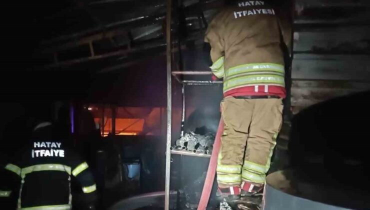 Samandağ’da odunluk yangını