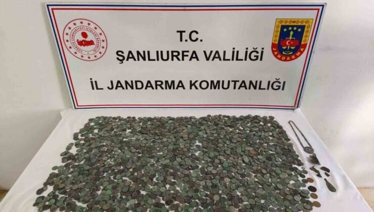 Şanlıurfa’da 2 bin 644 adet gümüş ve bronz sikke ele geçti