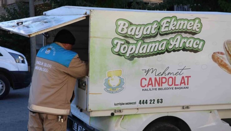 Şanlıurfa’da 24 ton ekmek israfını önlendi
