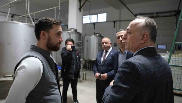 Sarıcakaya’da zeytin ve zeytinyağı üretimi hızla artıyor