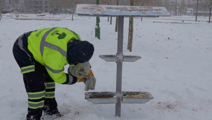 Şehitkamil sokak hayvanlarını unutmadı