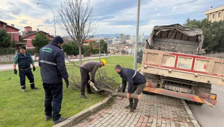 Şiddetli lodosun devirdiği ağaçlara anında müdahale