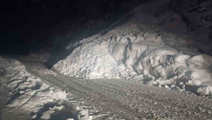 Şırnak yoluna çığ düştü, karayolu 2 saat ulaşıma kapandı