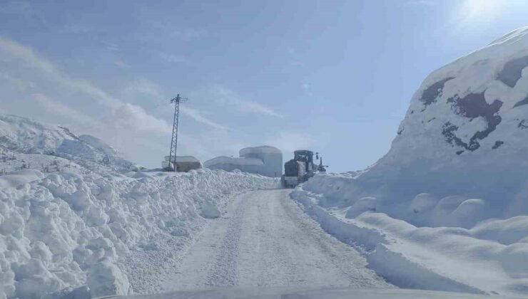 Şırnak’ta karlı yollar tek tek açılıyor