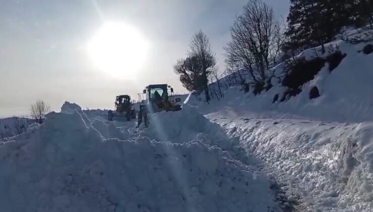 Şirvan’da kar yağışı başladı
