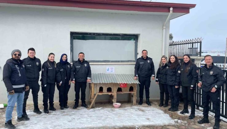 Sivrice polisinden üşüyen minik dostlarına kedi evi
