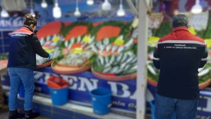 Tekirdağ’da su ürünlerine sıkı denetim