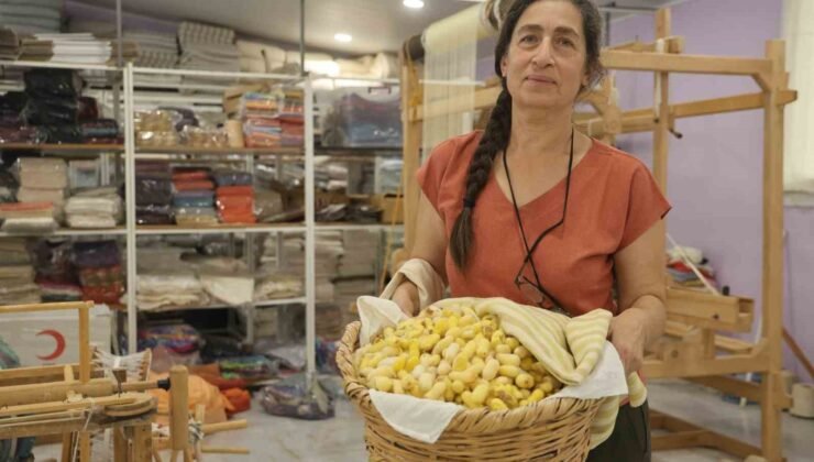 Tescilli ’Hatay Sarısı’nı yaşatmak için ömrünü adayan kadına “Yaşayan İnsan Hazinesi” ödülü