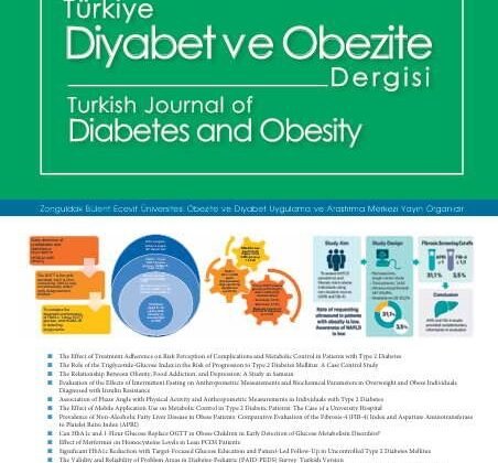 Türkiye Diyabet ve Obezite Dergisi’nin 2025 Aralık sayısı yayımlandı