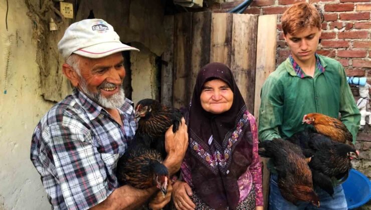 Üreticiye yüzde 50 hibeli tarımsal ve hayvansal destek