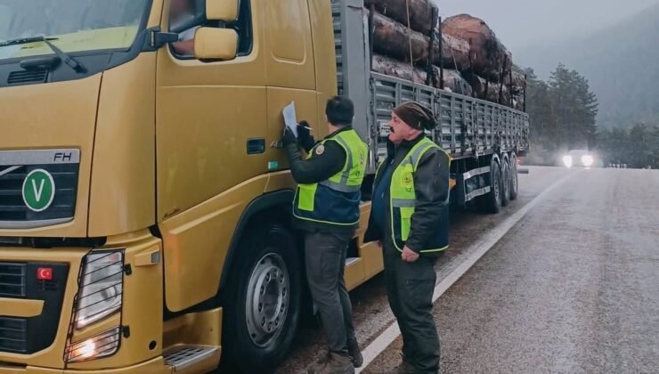 Yüklü araçlar tek tek kontrol edildi