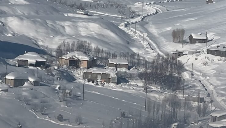 Yüksekova’da çiftçilere “kurt saldırısı” uyarısı