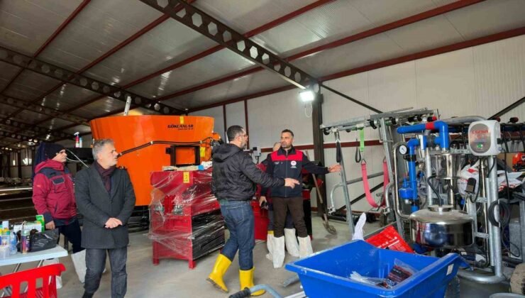 585 başlık küçükbaş işletmesi, yüzde 50 hibeyle faaliyete geçti