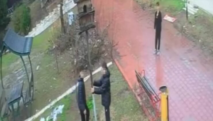 Adana’da parktaki kuş yuvasını parçaladılar