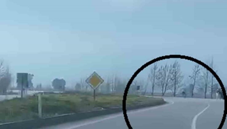 Akrobatik hareketler yapan motosiklet sürücüsü tarlaya uçtu