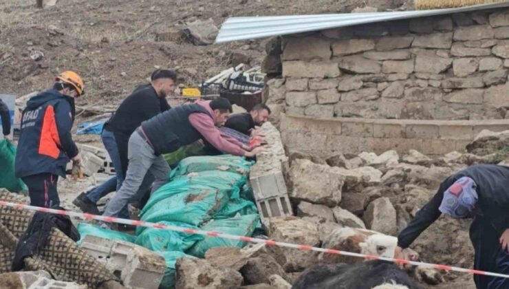 Aksaray’da yağmur ve rüzgardan ahır hayvanların üzerine çöktü