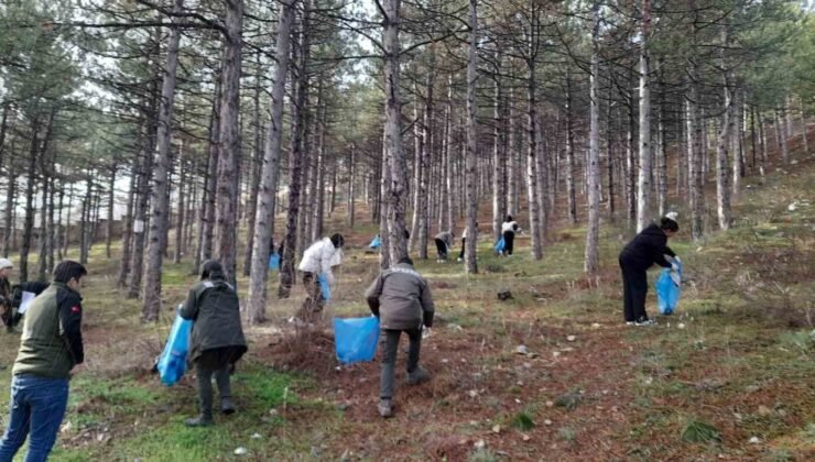 Akşehir’de orman yangınlarına karşı örnek çalışma