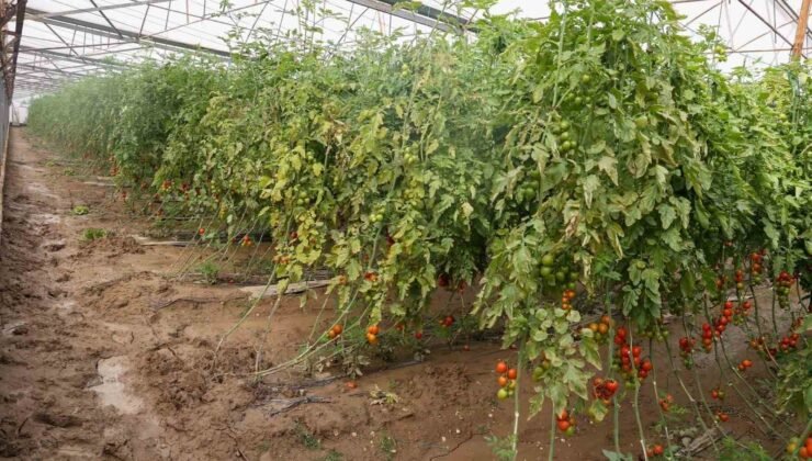 Aksu’da sağanak, sel, hortum ve doludan 23 mahalle, 500 çiftçi zarar gördü