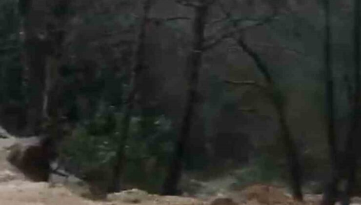 Alanya’da sağanak sonrası su taşkını köprüde zarara neden oldu