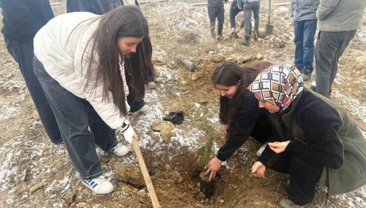 Altıntaş’ta lise öğrencileri fidan dikti