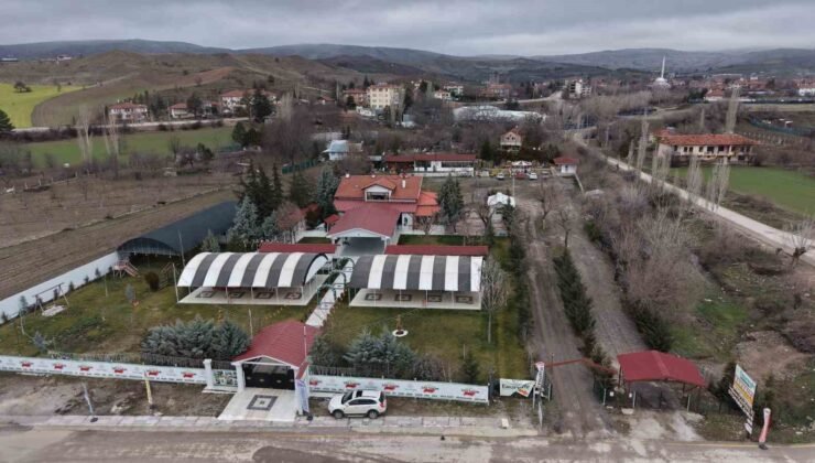 Ankaralı iki kardeş azmetti, hayallerini kır bahçesine dönüştürdü