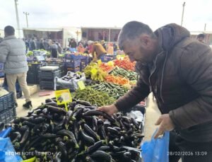 Antalya’daki olumsuz hava şartları patlıcanın tadını kaçırdı
