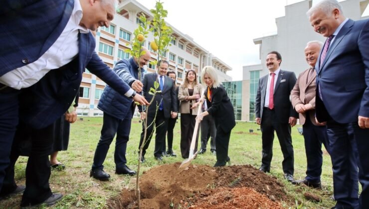 AÜ İlahiyat Fakültesi bahçesine 100 ağaç dikildi