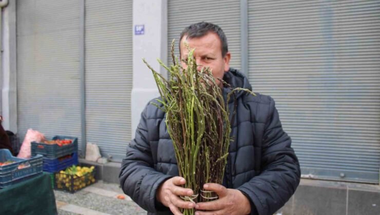 Aydın’ın yöresel lezzeti kedirgen ve sarmaşıklar pazar tezgahlarını süslemeye başladı