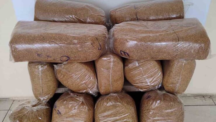 Bafra’da tütün operasyonu: 75 kilo kaçak ürün ele geçirildi