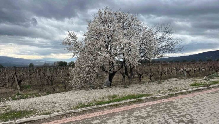 Bahar renkleriyle geliyor