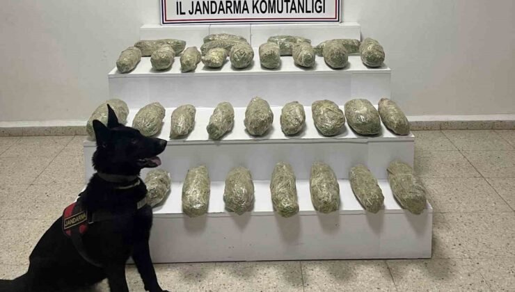 Başkale’de 21 kilo 350 gram skunk ele geçirildi