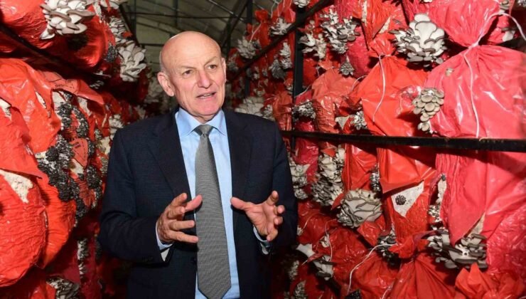 Başkan Kul: “Üreten kadınların yanında olmaya devam edeceğiz”