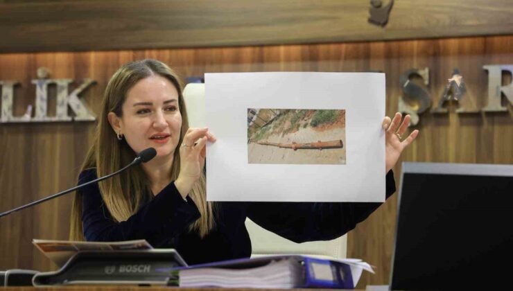 Başkan Vekili Özdemir: “Altıntaş’a çok önemli yatırımlar yapıldı”