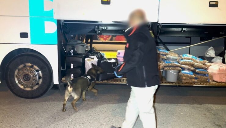 Batman’da narkotik köpeği “Hector” zehir tacirlerine geçit vermedi