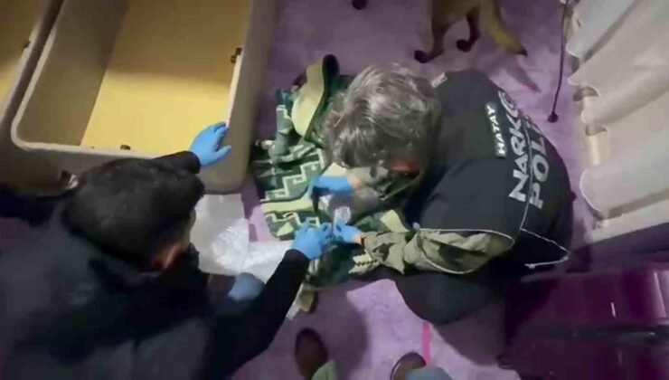 Battaniyeye zulalanan uyuşturucuyu narkotik köpeği buldu