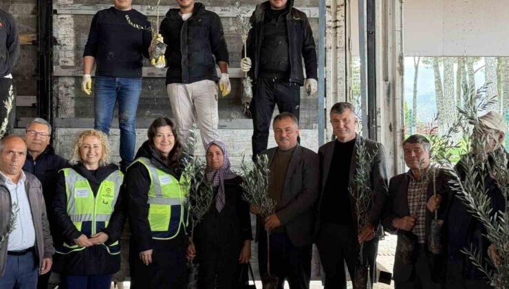 Beyağaç’ta kırsal kalkınmayı destek amacıyla zeytin fidanı dağıtımı gerçekleşti