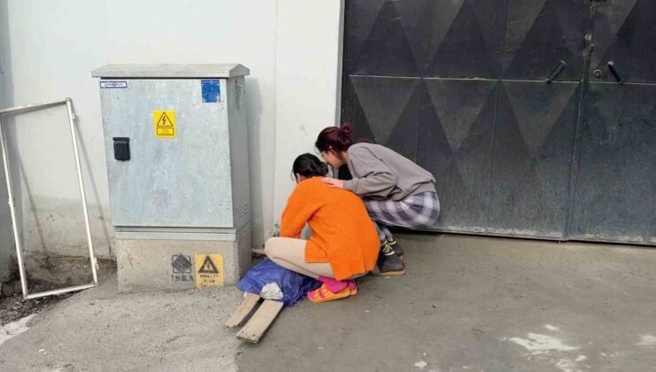 Beyoğlu’nda yangında ölen kedisinin başında sinir krizi geçirdi