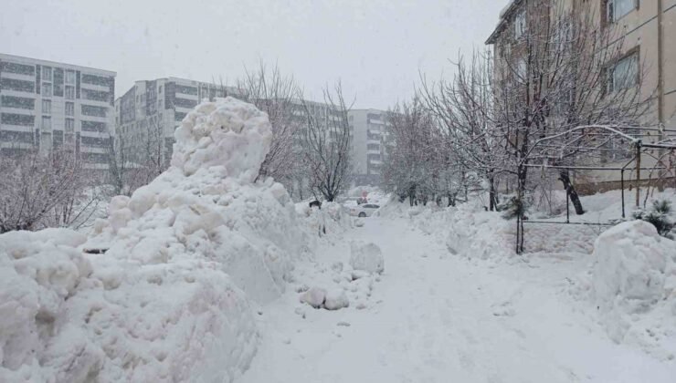 Bitlis’te kar yağışı yeniden etkili olmaya başladı