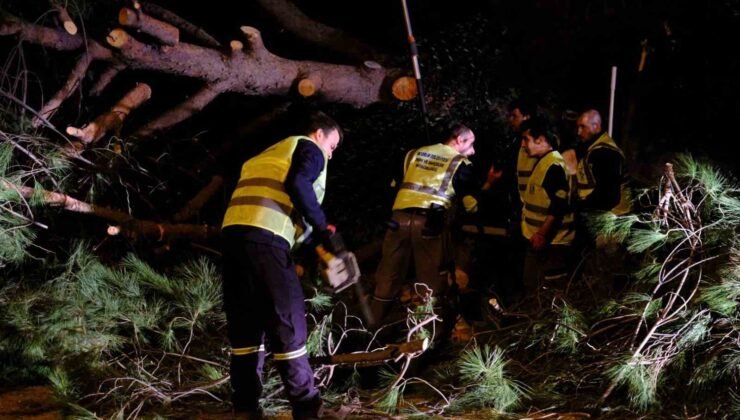 Bodrum Belediyesi fırtına dinlemedi