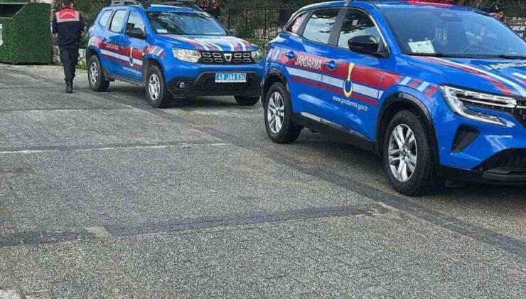 Bodrum’da iki köpeğin silahla vurulduğu iddiası