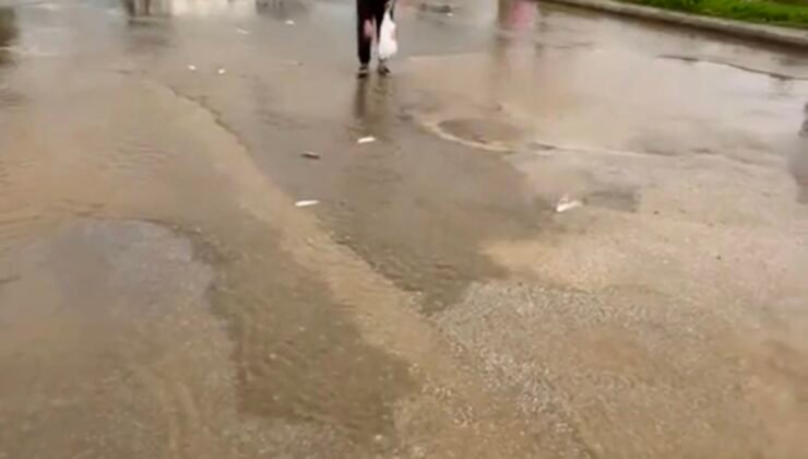 Bodrum’da sağanak baskını: Gölet taştı, asfalta balık yağdı